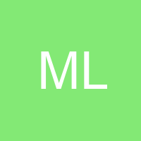 Mr L